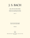 Jesu, der du meine Seele Kantate zum 14. Sonntag nach Trinitatis BWV 78 Stimme(n) V2