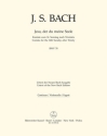 Jesu, der du meine Seele Kantate zum 14. Sonntag nach Trinitatis BWV 78 Stimme(n) Vc/KB/Fag/Bc