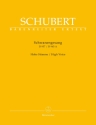 Schwanengesang D957 / D965a fr Gesang (hoch) und Klavier praktische Ausgabe