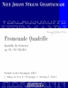 Strau (Sohn), Johann, Promenade Quadrille op. 98 RV 98A/B/C Orchester Partitur und Kritischer Bericht