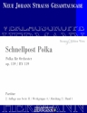 Strau (Sohn), Johann, Schnellpost Polka op. 159 RV 159 Orchester Partitur und Kritischer Bericht