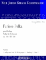 Strau (Sohn), Johann, Furioso Polka op. 260 RV 260 Orchester Partitur und Kritischer Bericht