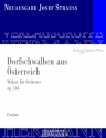 Strau, Josef, Dorfschwalben aus sterreich op. 164 Orchester Partitur und Kritischer Bericht