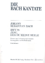 Jesu der du meine Seele fr Soli, gem Chor, Flte, 2 Oboen, Streicher, Orgel Kontrabass