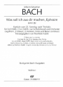 Was soll ich aus dir machen, Ephraim fr Soli (SAB), gem Chor, Orchester und Bc Violine 1