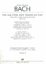 Herr Jesu Christ wahr' Mensch und Gott Kantate Nr.127 BWV127 Violine 2