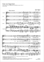 Gott im Ungewitter Soli (Coro) SATB, Pfte P