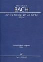 Ach wie flchtig ach wie nichtig Kantate Nr.26 BWV26 Studienpartitur