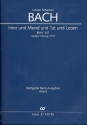 Herz und Mund und Tat und Leben Kantate Nr.147 BWV147 (Leipziger Fassung) Klavierauszug (dt/en)