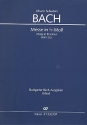 Messe h-Moll BWV232 fr Soli, gem Chor und Orchester Studienpartitur