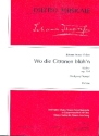 Wo die Citronen blh'n op.364 fr Orchester Partitur