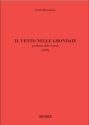 Carlo Boccadoro, Il vento nelle grondaie Tenor Recorder Buch