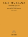 28 Brani Scelti - Livello Avanzato Klavier Buch