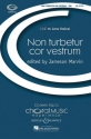 Viadana, Ludovico Grossi da: Non turbeter cor vestrum fr Mnnerchor (TBB) Chorpartitur