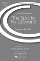 Sparks fly upward fr Kinderchor und Percussion Chorpartitur