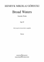 Broad Waters op.39 fr gemischter Chor (SATB) a cappella Chorpartitur