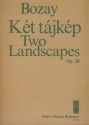 Bozay Attila Two Landscapes for baritone, flute and zither on poems by A. Fodor Chamber Music with Voice