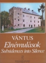 Vntus Istvn Subsidences into Silence (Late Message to my Native Village) for string orchestra String Orchestra