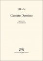 Aurl Tillai Cantate Domino SATB (Stimme)