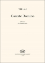 Aurl Tillai Cantate Domino Upper Voices (Stimme)