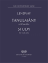 Kamill Lendvay Study viola