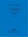 Cadenze per il concerto per pianoforte di J. Haydn per pianoforte