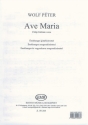 Ave Maria fr Gesang mit Gitarre