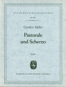 Gnther Mller Pastorale und Scherzo Akkordeon-Orchester Partitur