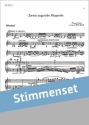 Liszt, Franz Zweite ungarische Rhapsodie Akkordeonorchester Stimmenset