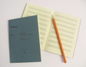 Notes - Merkheft fr Noten und Notizen Din A 6, 8 Systeme