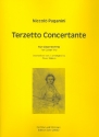 Terzetto concertante fr 3 Gitarren Partitur und Stimmen