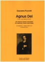 Agnus Dei fr Sopran (Tenor) und Orgel