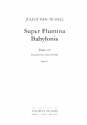 Super flumina Babylonis op.25 fr gem Chor und Orgel Partitur,  Archivkopie