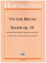 Bruns, Victor, Sextett op. 34 fr Flte. Oboe, Klarinette, Fagott, Horn und Klavier