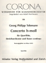 Konzert h-Moll TWV 51:h1 fr Flte, Streichorchester und Basso continuo Flte