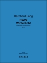 DW22 - Winterlicht (2010) fr Bassflte und Kontrabass 2 Spielpartituren