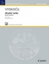 Vyslou?il,Jiri: Blauer Himmel  - Kinderlieder fr Singstimme und Klavier