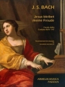 Jesus bleibet meine Freude BWV147 per organo