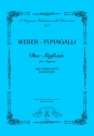 Weber - Fumagalli Due Sinfonie per Organo: Der Freischtz  Euryanthe