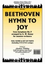 Beethoven Hymn To Joy (Benoy) Pack Orchestra