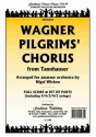 Pilgrims' Chorus from Tannhauser for amateur orchestra score and set of parts (strings 4-4-3-4-2)