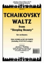 Tchaikovsky Waltz From Sleeping Beauty Pack Orchestra