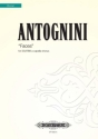 Antognini, Faces