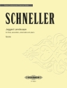 Schneller, Oliver Jagged Landscape fr Flote, Akkordeon, Violoncello und Klavier Partitur und Stimmen