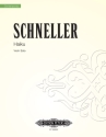 Schneller, Oliver, Haiku