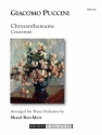 Chrysanthemums for flute orchestra score and parts