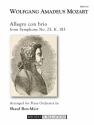 Allegro con brio from Symphony No.25, K.183 for flute orchestra score and parts