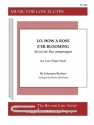 Johannes Brahms, Lo, How a Rose E'er Blooming Fltenensemble Partitur + Stimmen