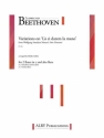 Ludwig van Beethoven, Variations on 'La Ci Darem la Mano' Fltentrio Partitur + Stimmen