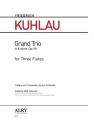 Kuhlau, Friedrich, Grand Trio, Op. 90 Flute Trio